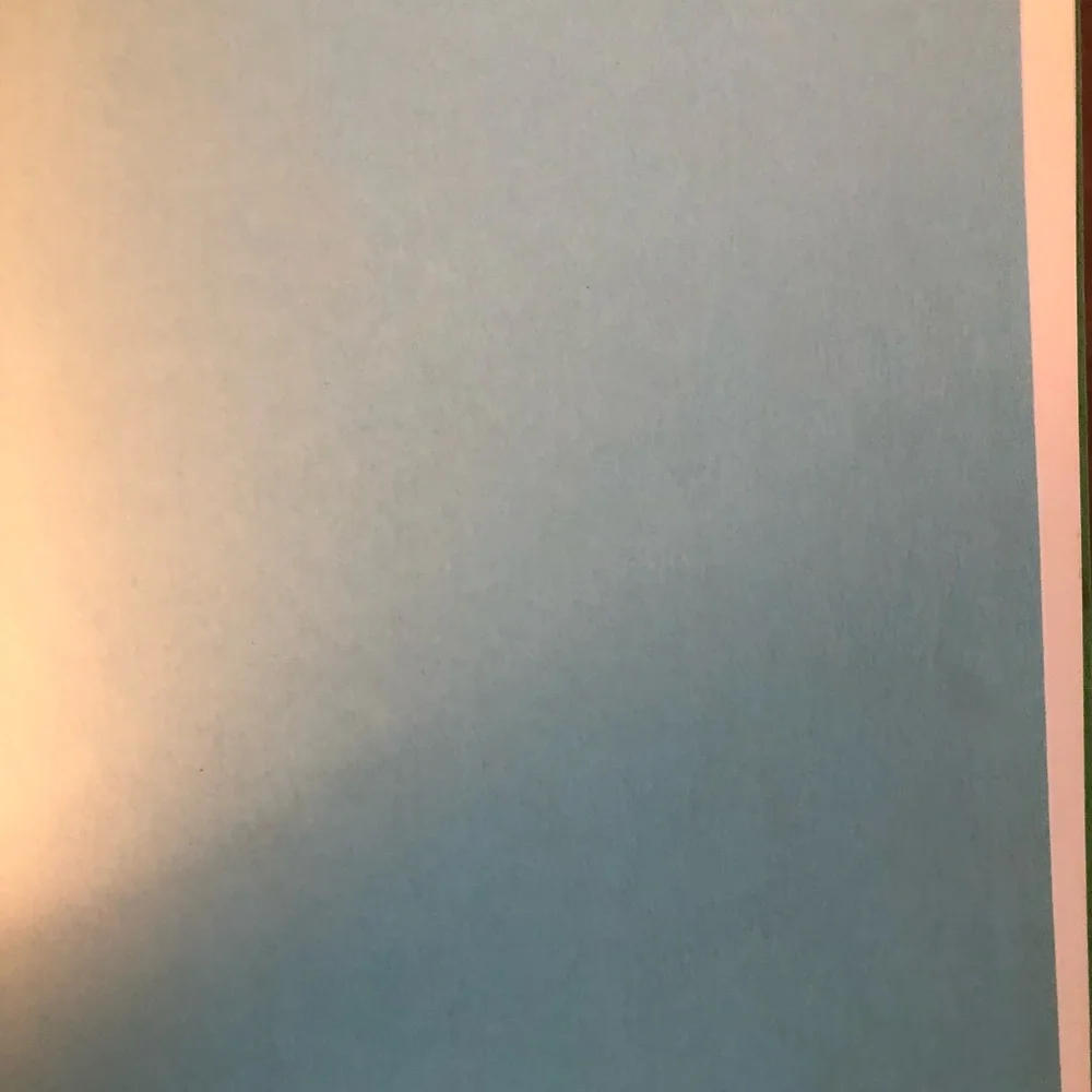 “The Amazing Bone” vintage book by William Steig